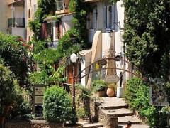 183 D24 BORMES LES MIMOSAS 2_000034